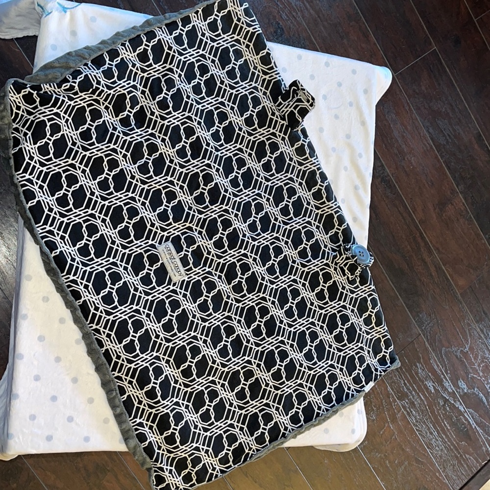 Car Seat Canopy - Picture 1 of 3